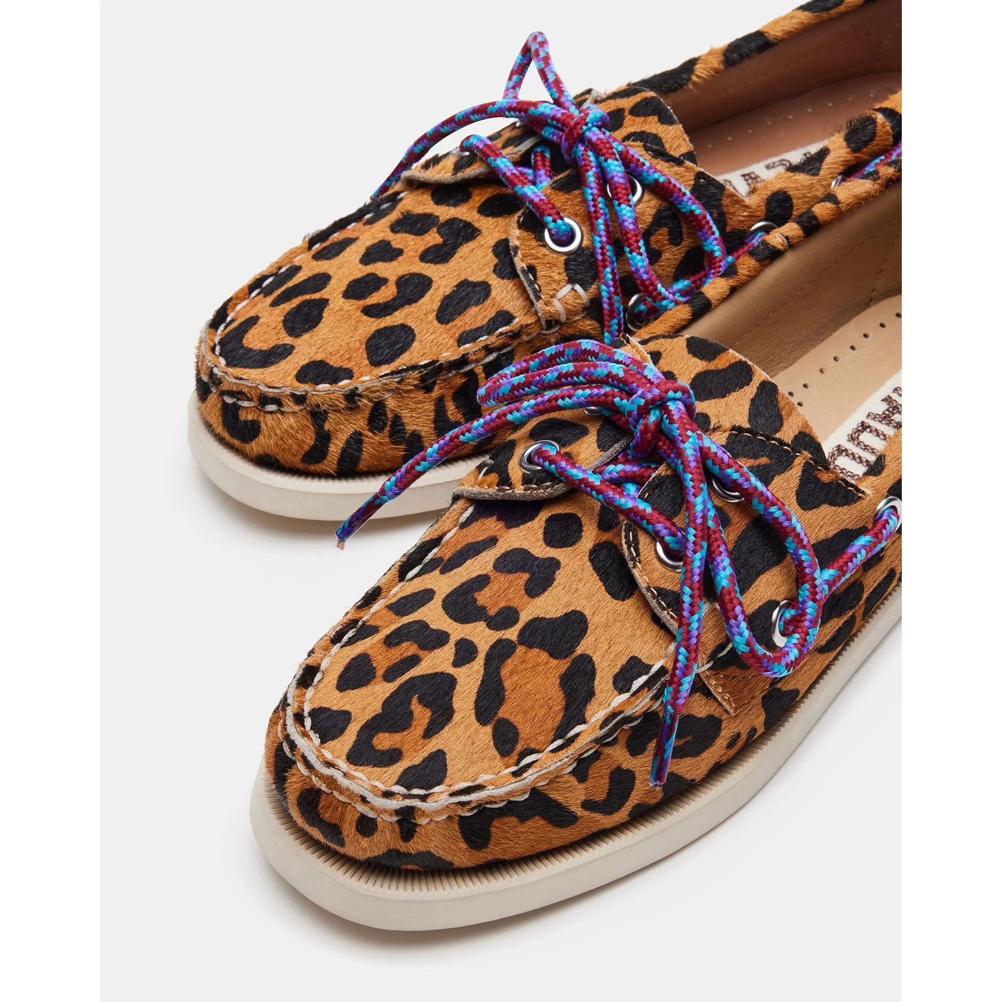 Sail Leopard